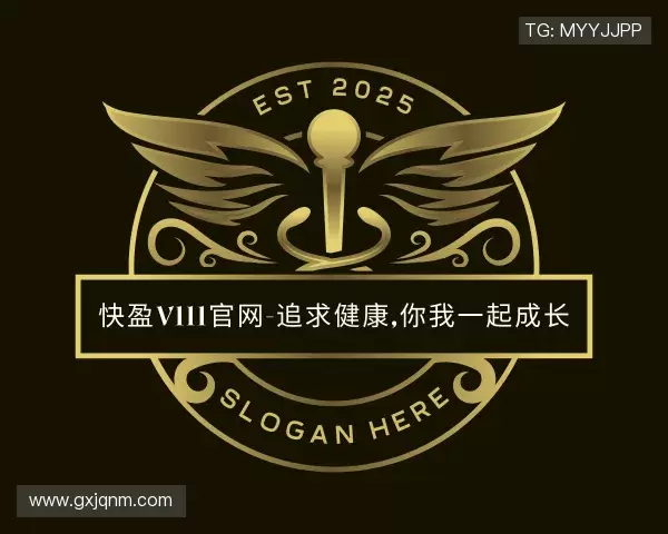 了解快盈VIII